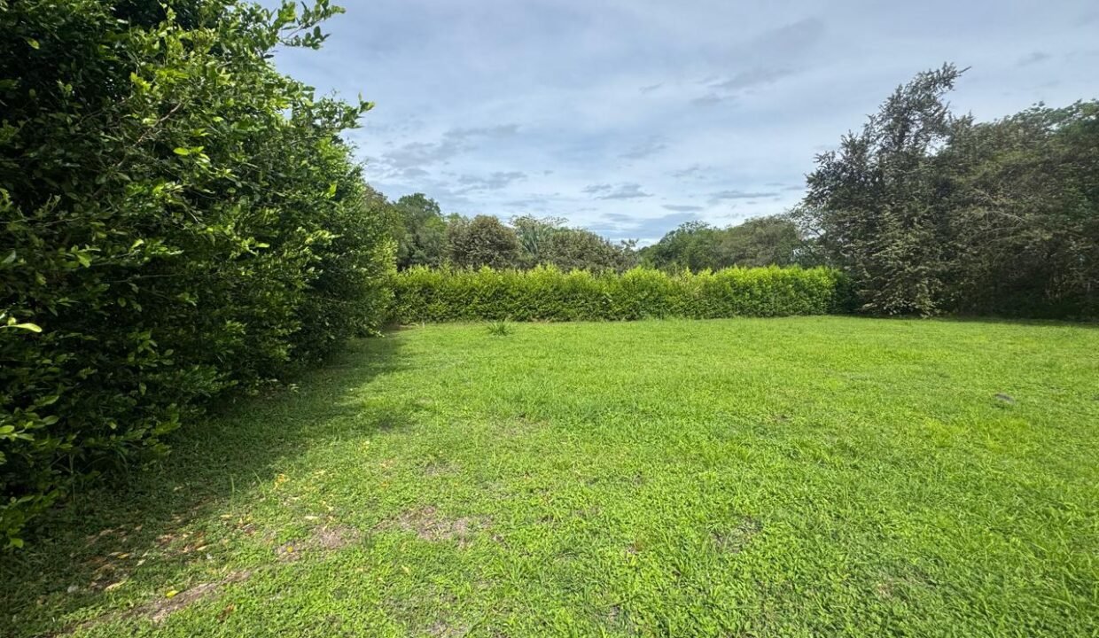 Imagen de WhatsApp 2025-07-10 a las 15.07.49_4d34255b