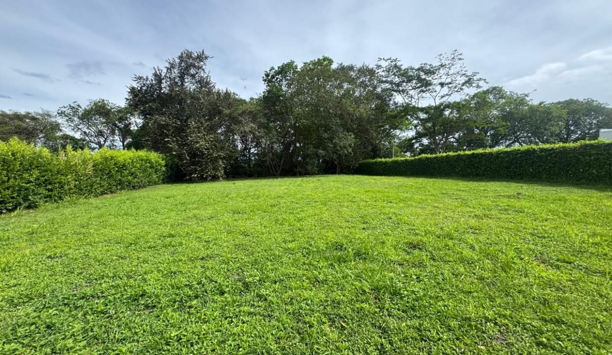 Imagen de WhatsApp 2025-07-10 a las 15.07.49_82daff8a