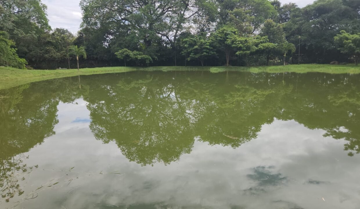 Imagen de WhatsApp 2025-07-10 a las 15.07.51_ea2ad639